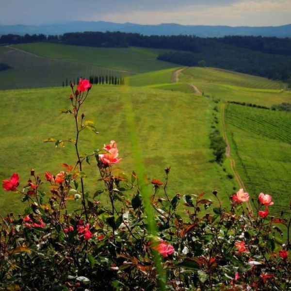 Salite, discese e bivii: la geografia della&nbsp;felicità