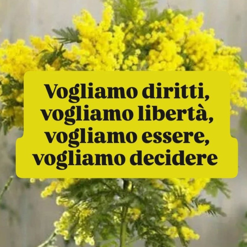 8 marzo: mentre celebriamo le donne, si smantellano gli strumenti per la&nbsp;parità